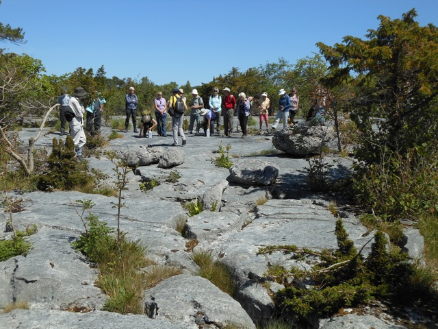 Gait Barrows limestone pavement with study group