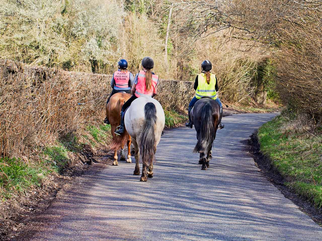 Horse riders on the road