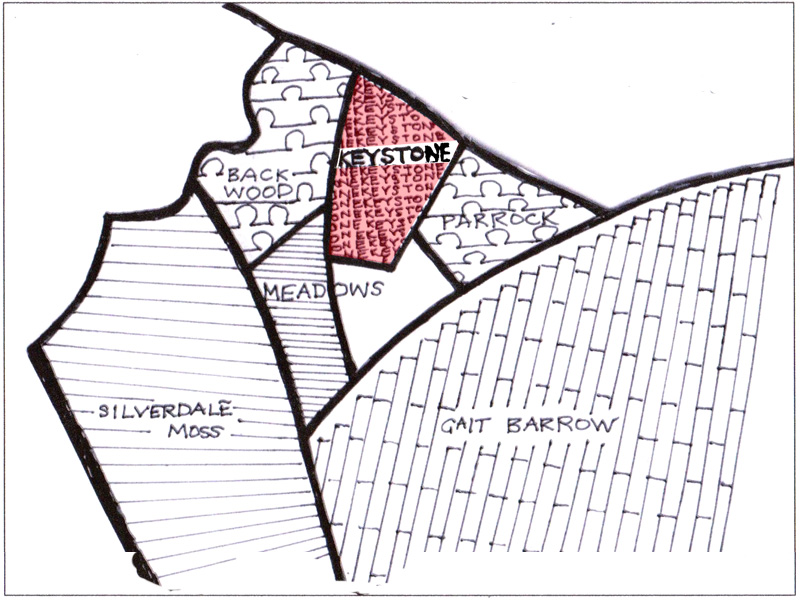 Sketch showing how our new reserve fits into the mosaic [Artwork: Janet Brady]