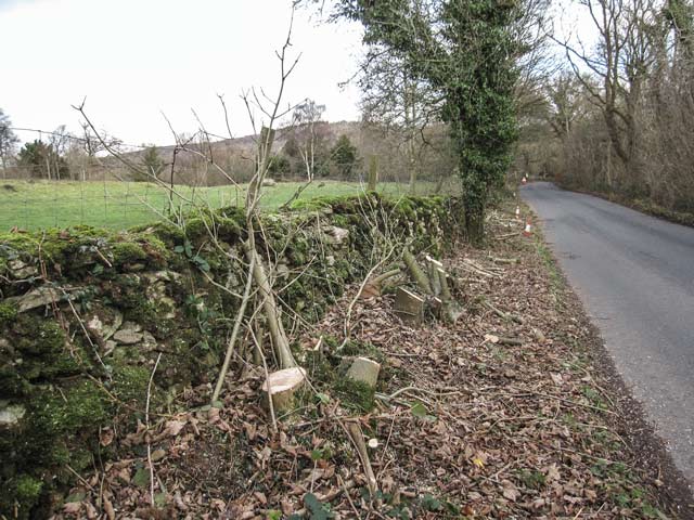 Roadside tree work at Coldwell Parrock