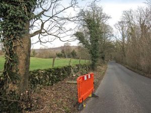 Roadside tree work at Coldwell Parrock