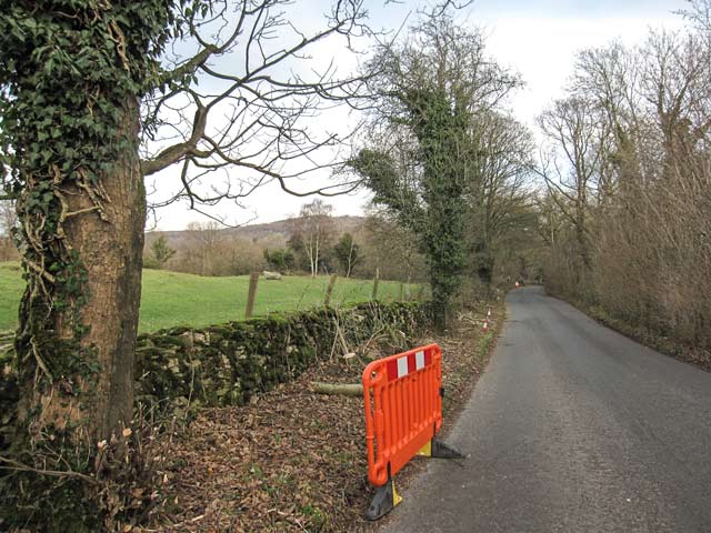 Roadside tree work at Coldwell Parrock