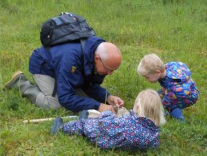 Looking for bugs!