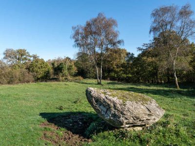 Small erratic at Coldwell Parrock
