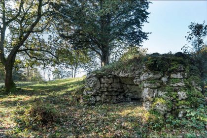 Coldwell Lime Kiln