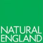 NT_logo_thumb