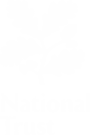 NT_logo_white_thumb